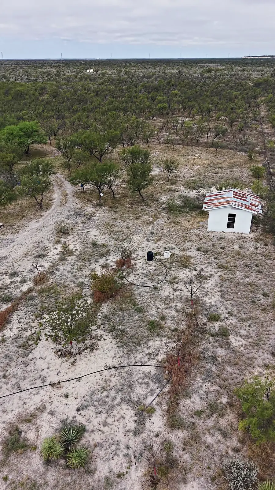 Vista aérea de la cabaña y los árboles del Terreno Nogalitos