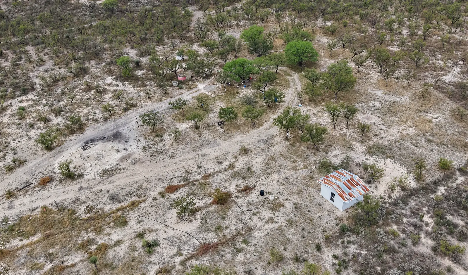 Vista aérea del Terreno Nogalitos: 2 hectáreas con nogales, fresnos y la cabaña, sobre la Carretera 57 rumbo a Nava
