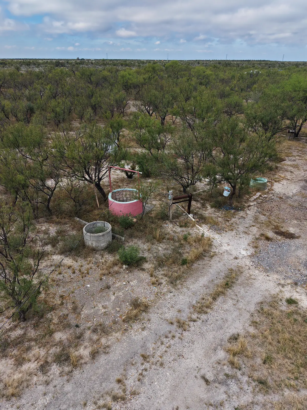 Noria con bomba entre los nogales y fresnos del Terreno Nogalitos